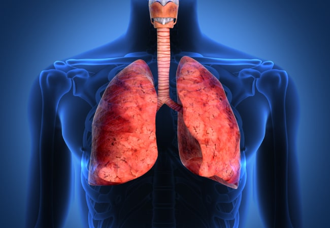 The Role of Omalizumab in Asthma